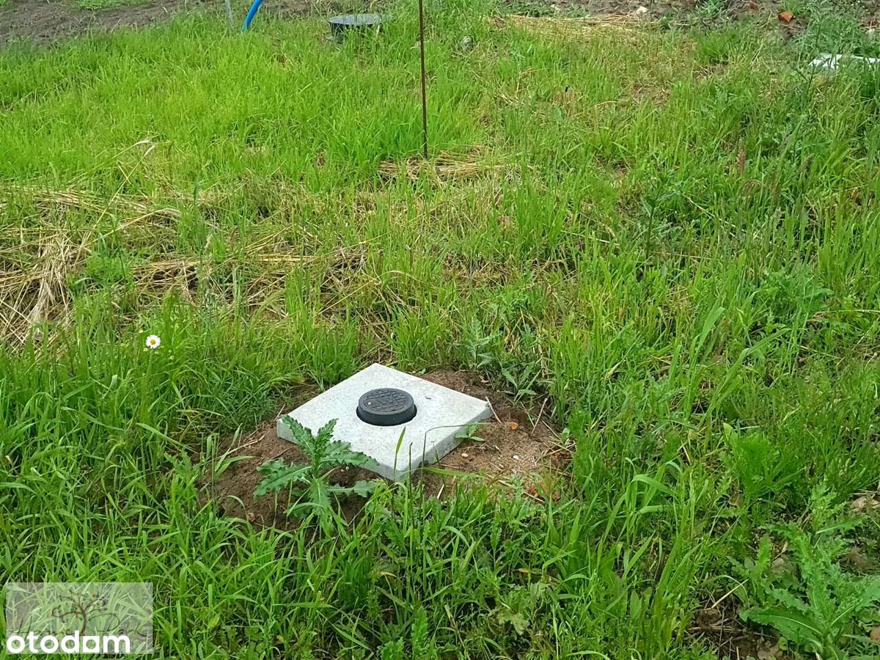 Uzbrojone Działki POD Poddębicami nad rzeką NER - Pełny obrazek: 4/7