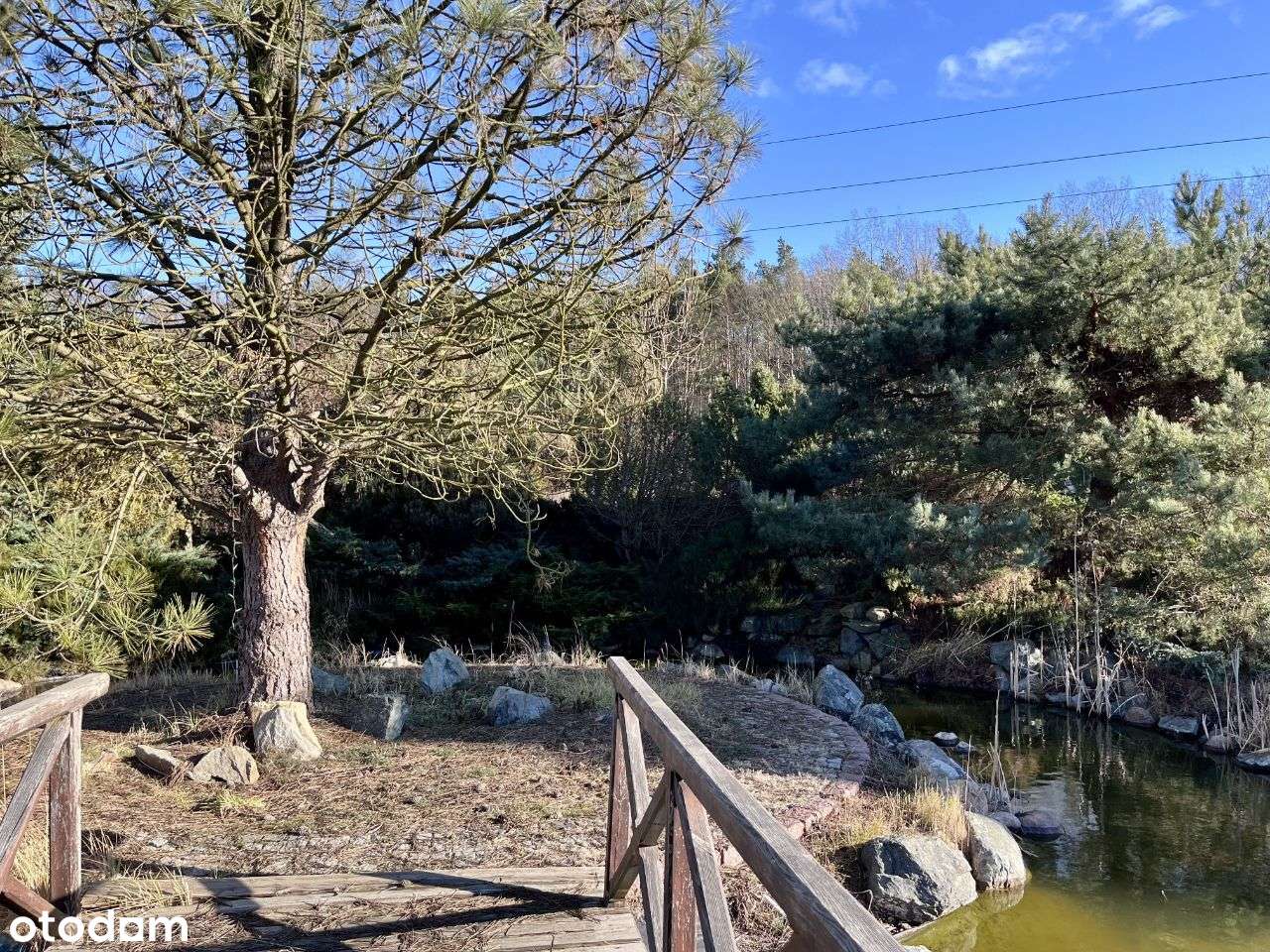 Wyjątkowa Rezydencja | Dom Wśród Natury | 718 m2-17