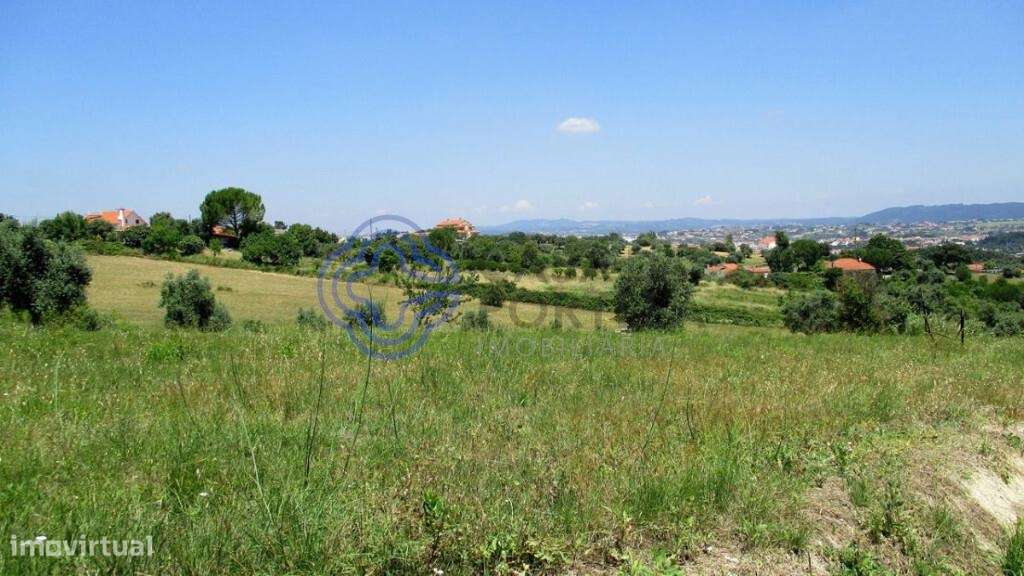Terreno para construção junto da cidade de Tomar no Centro de Portugal - Grande imagem: 3/16