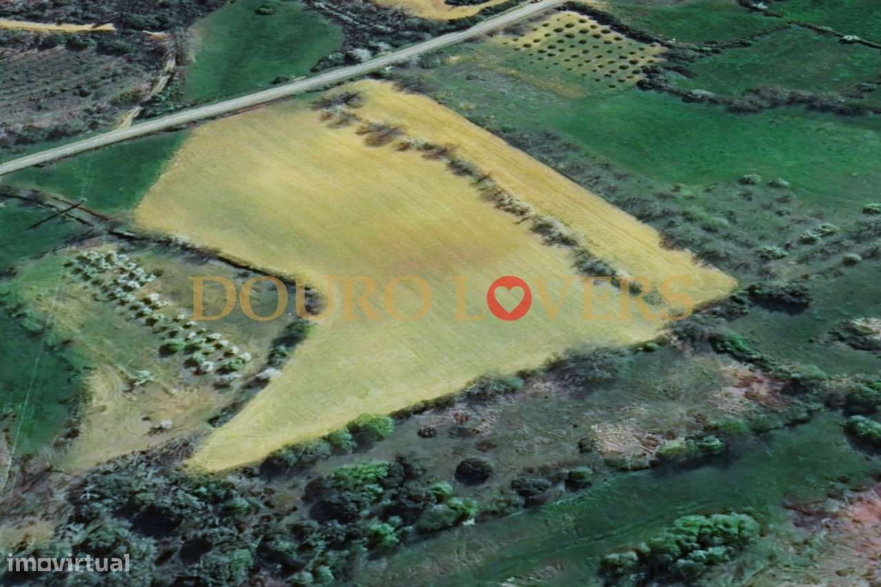 Terreno Agrícola para venda em Conlelas, Bragança - Grande imagem: 2/9