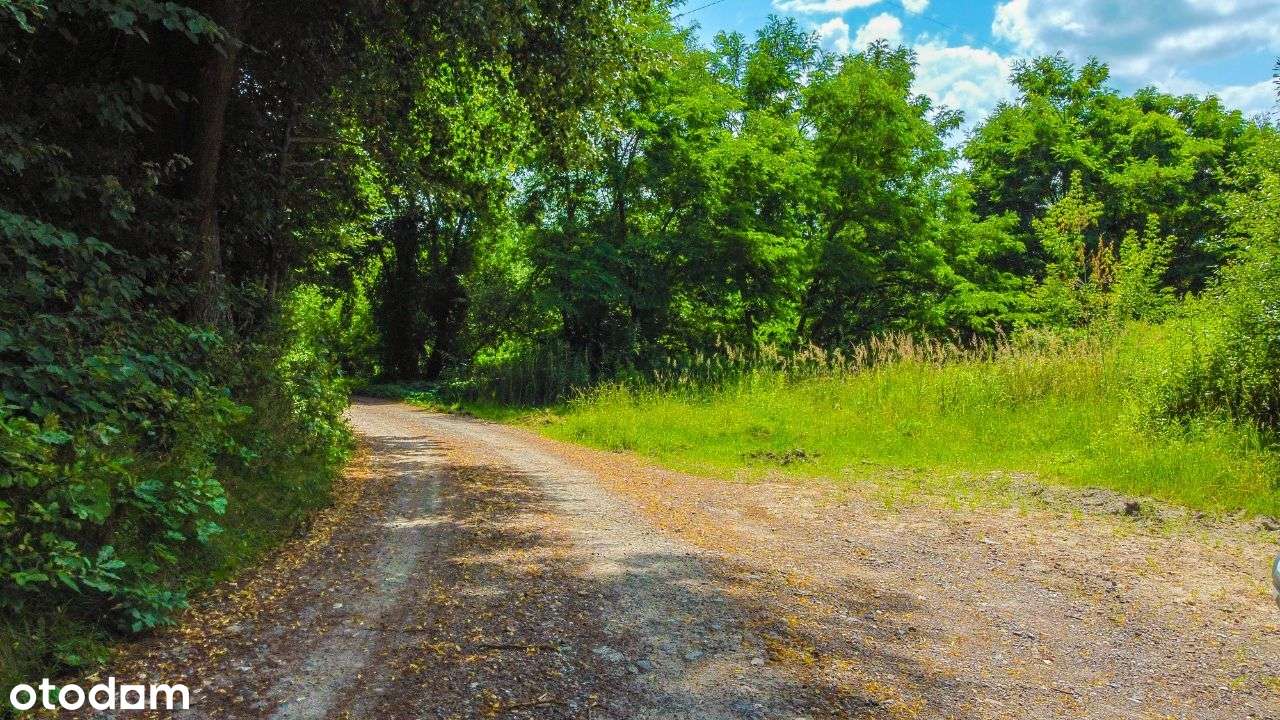 NOWY MPZP 1050mkw Budowlana + Własny Leśny Zakątek-8