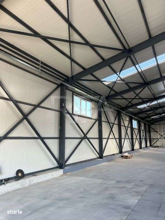 Hala de Vanzare Centura  / Magurele - Imagine principală: 4/4