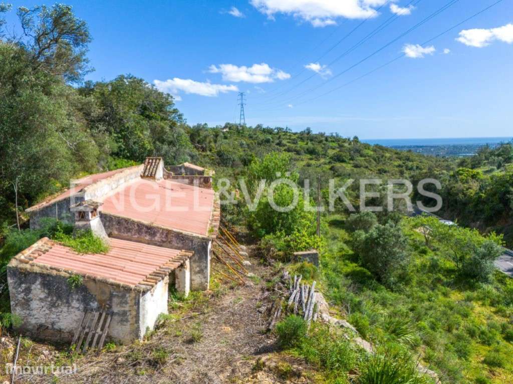 Investimento - Terreno com ruína em Estoi - Grande imagem: 1/13