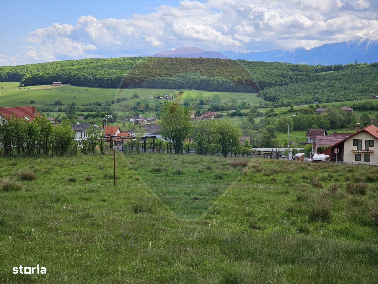 Teren 1,000mp Sadu / Strada pinului