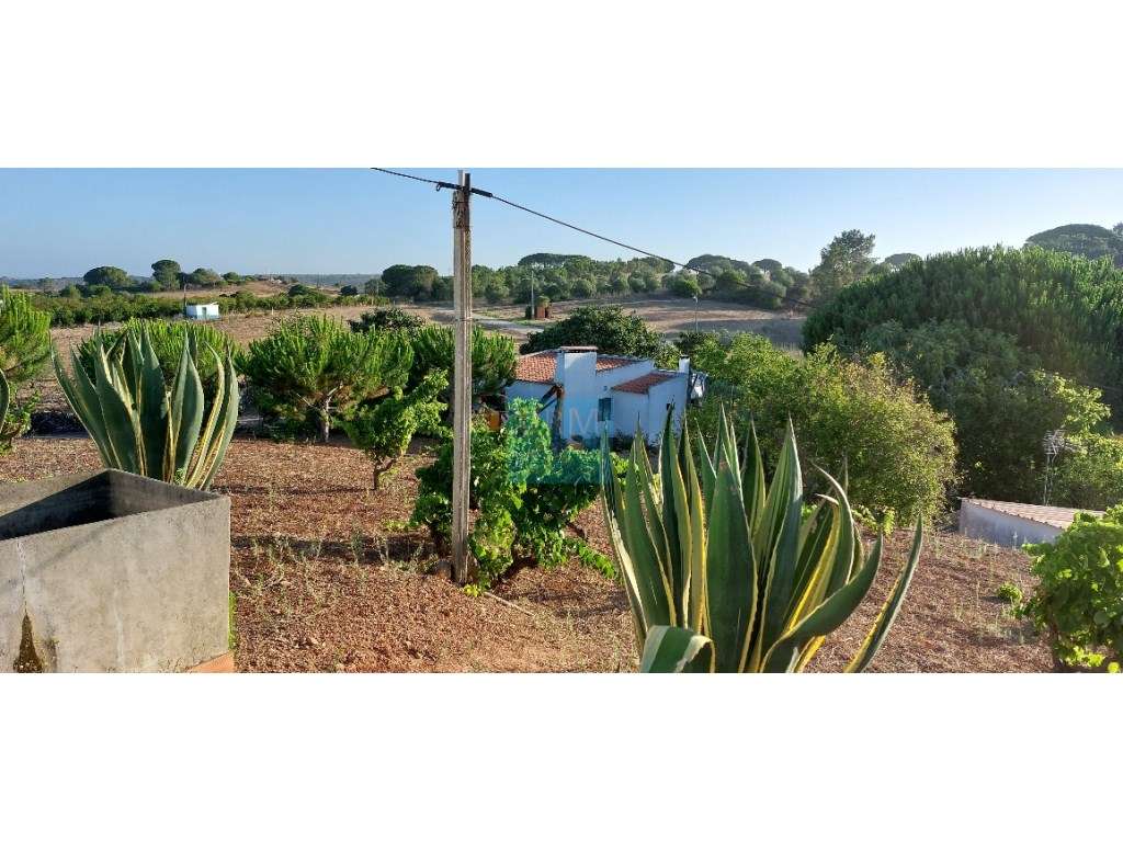 QUINTINHA c/ Moinho - Grande imagem: 3/15