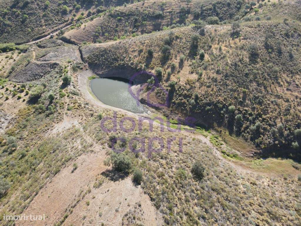 Terreno Rústico em Junqueira - Castro Marim - Grande imagem: 3/16