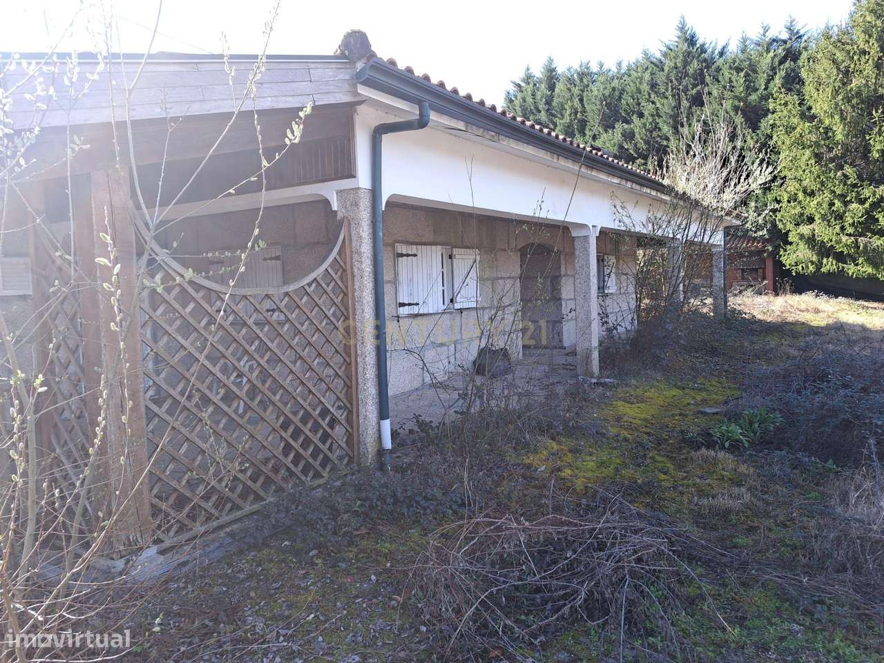 QUINTA EM MARCO DE CANAVESES - Grande imagem: 5/18