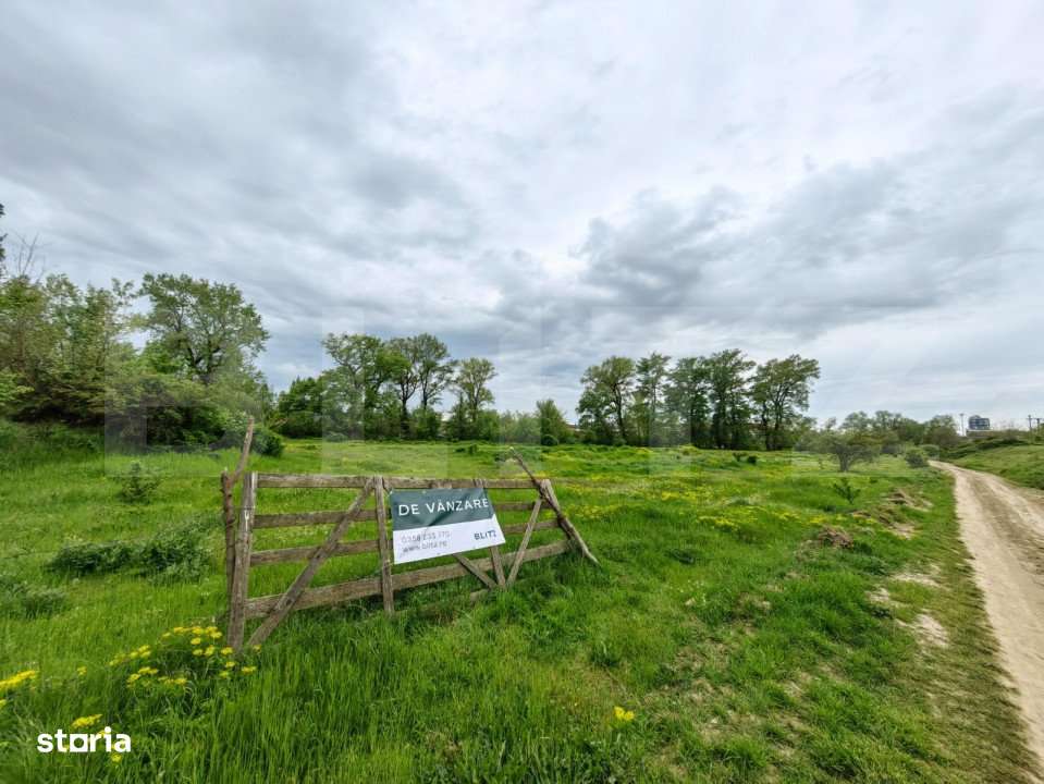 Teren intravilan 6010 mp, zona Sebes - Imagine principală: 2/6