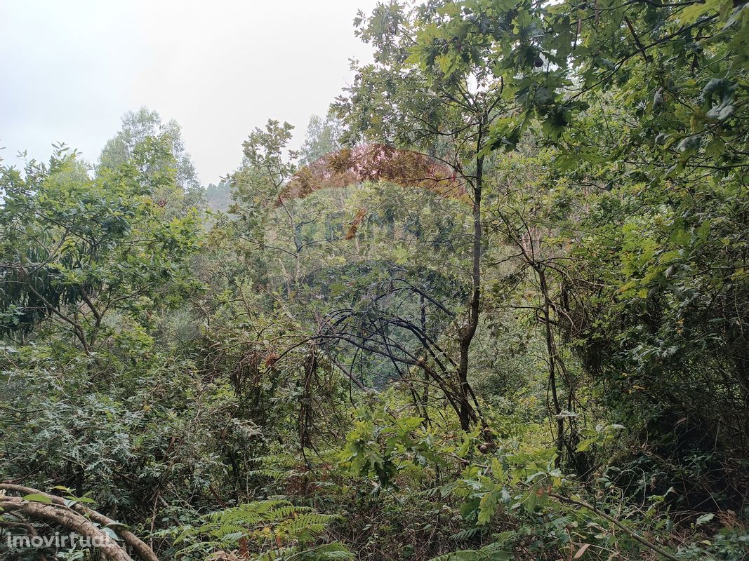 Terreno  para venda