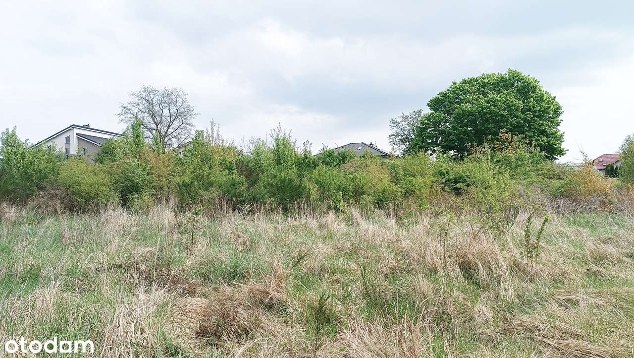 Piękna działka budowlana w super cenie! - Pełny obrazek: 3/4