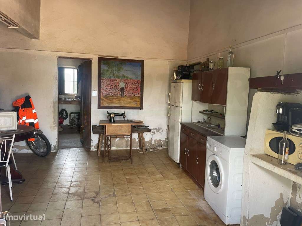 HERDADE COM 100 HECTARES E BASTANTE ARBORIZAÇÃO-35