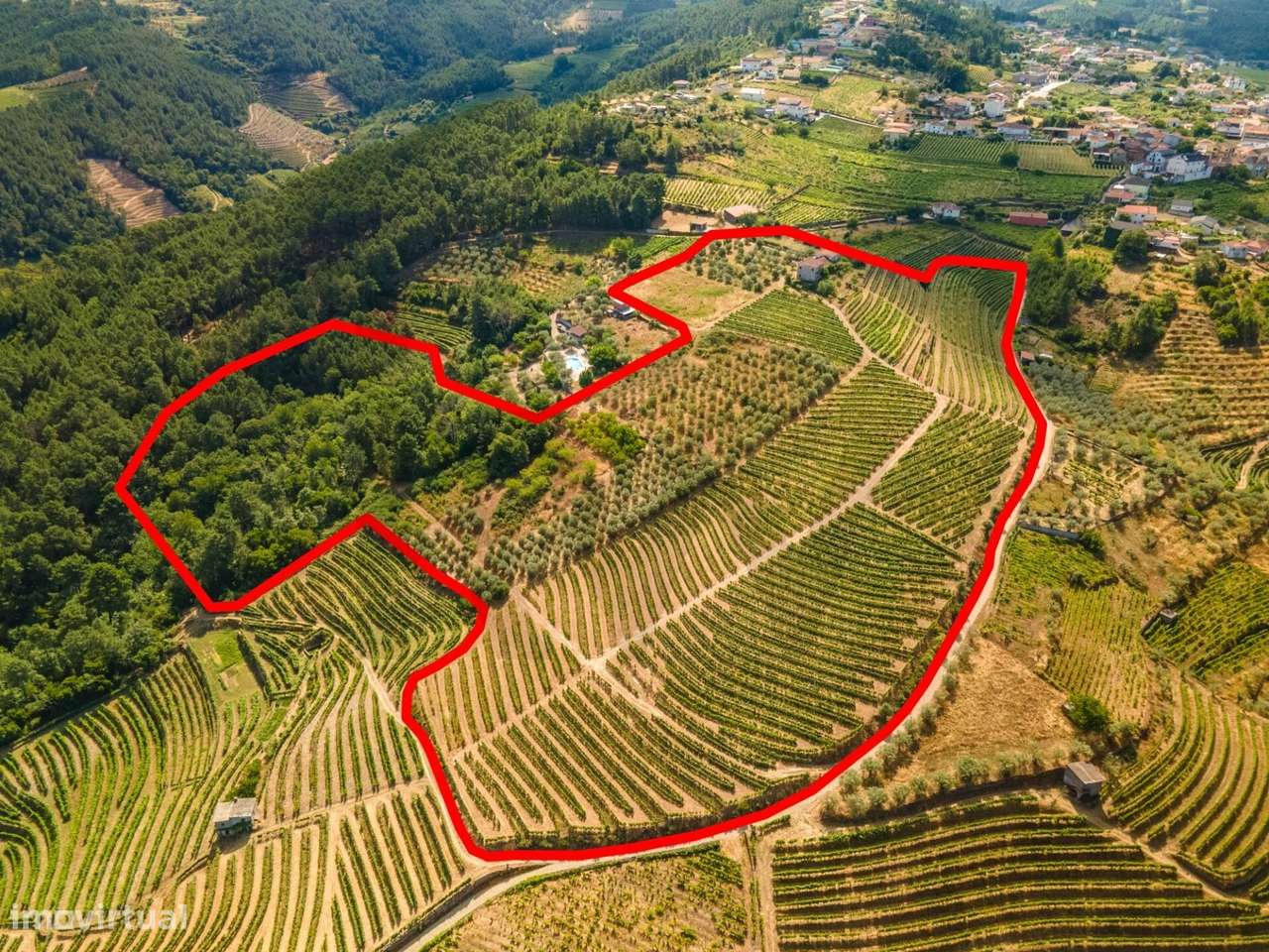 Quinta do Fojo / T8 / Vinhas / Oliveiras - Grande imagem: 2/31