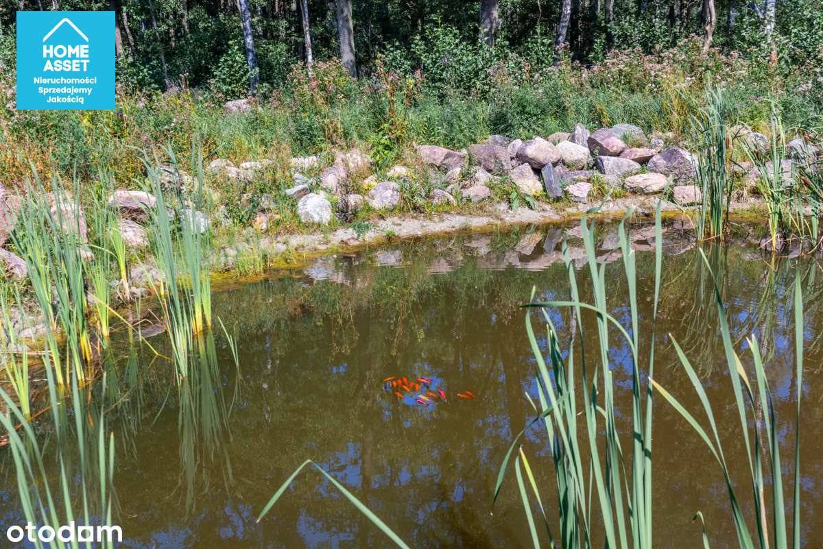 Domy w Lesie nad Bałtykiem - Gotowy Projekt - Pełny obrazek: 4/19