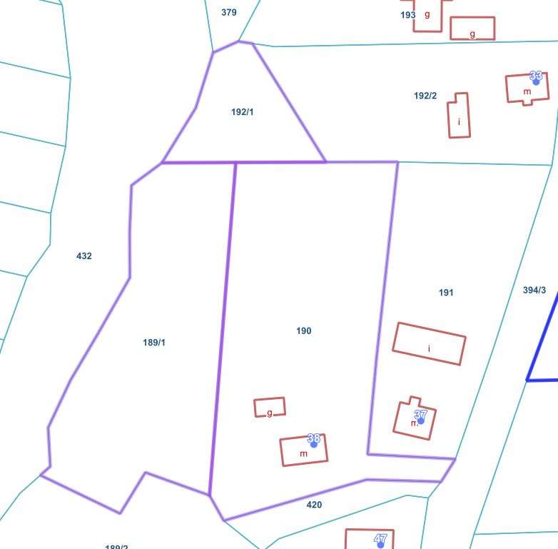 Duża działka/siedlisko, stary dom - Pełny obrazek: 4/6