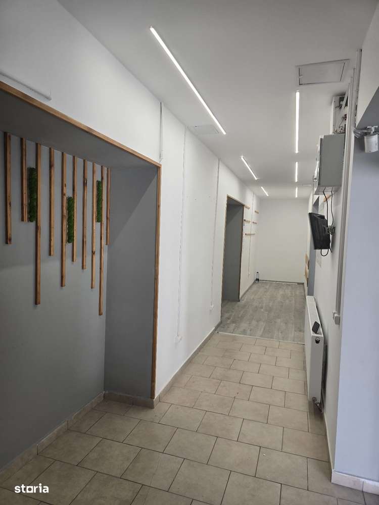 Hala depozitare sau mica productie, zona Zizinului, 400mp-7