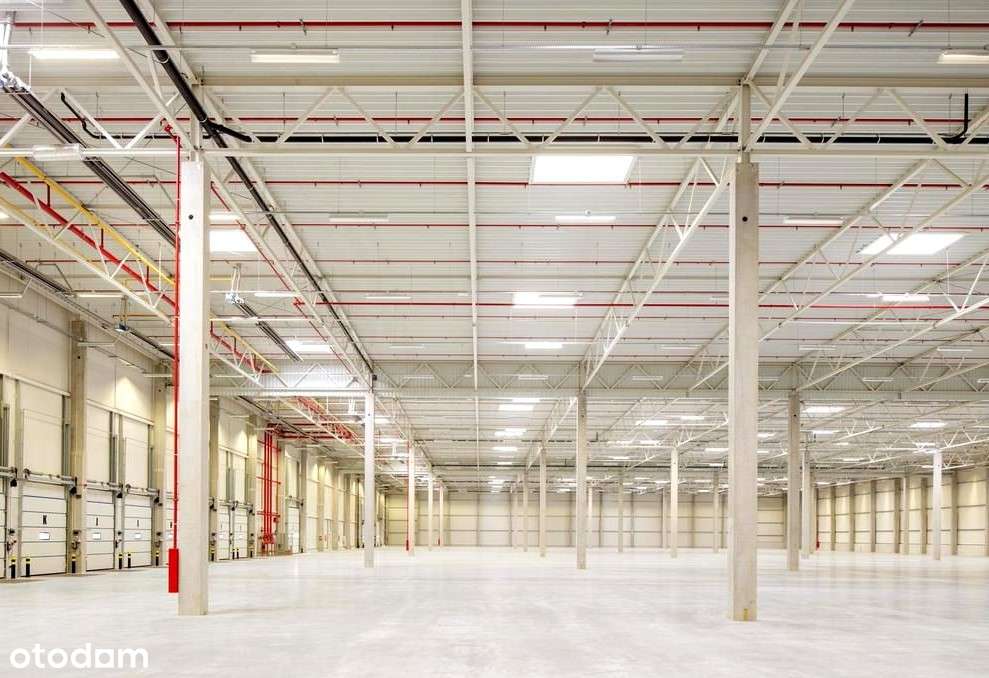 Łódź Teofilów Przemysłowy 10 000 m2 Obiekt Klasy A - Pełny obrazek: 4/4