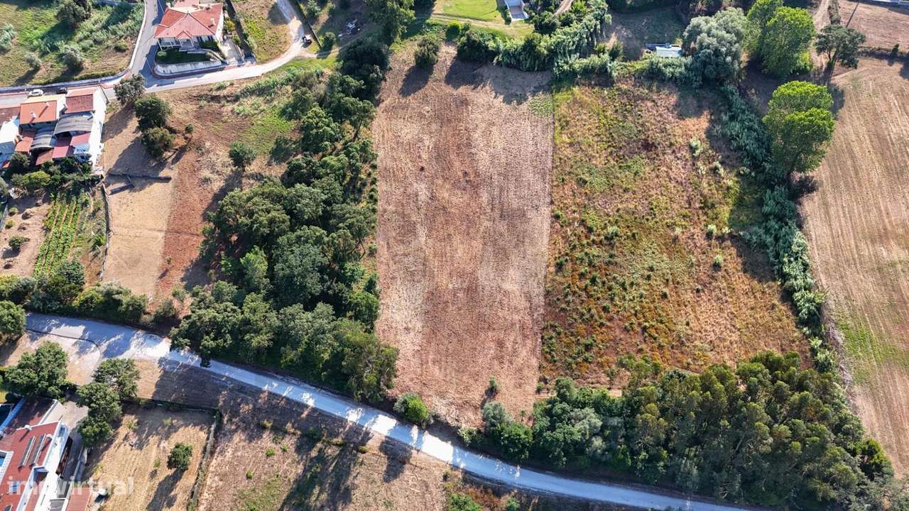 Terreno para Promoção Imobiliária no Coração de Oliveira do Bairro-6