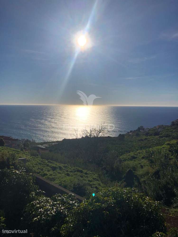 Terreno com Projeto Aprovado  Moradia T3 com piscina "Chave na Mão" - Grande imagem: 5/22