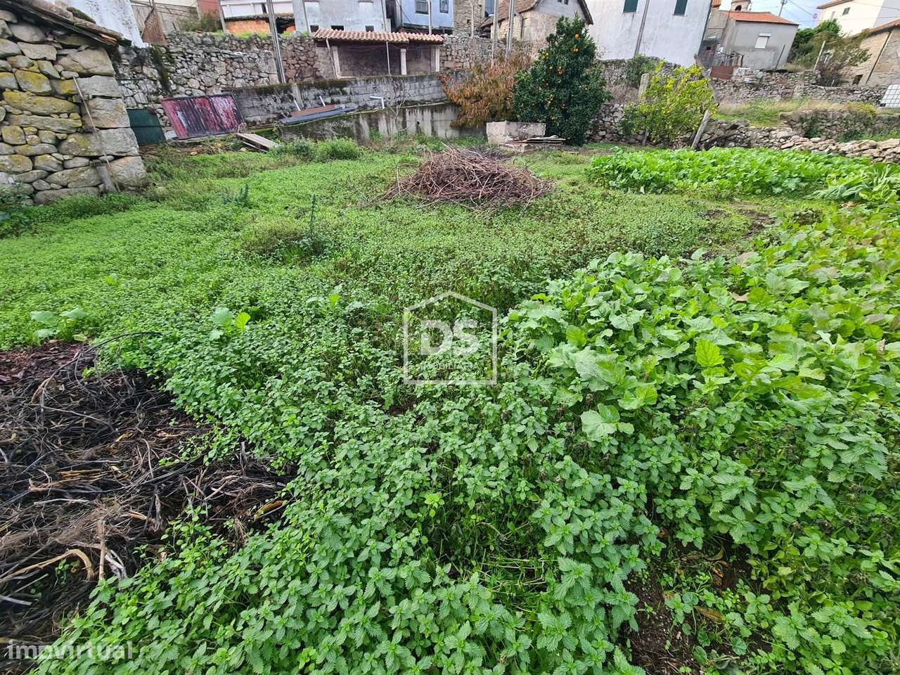 Moradia T5 Venda em Aricera e Goujoim,Armamar-7