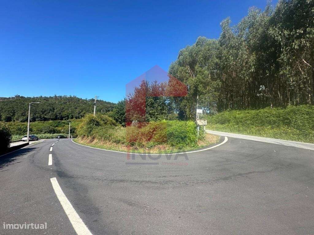 Terreno florestal, Esqueiros - Grande imagem: 4/17