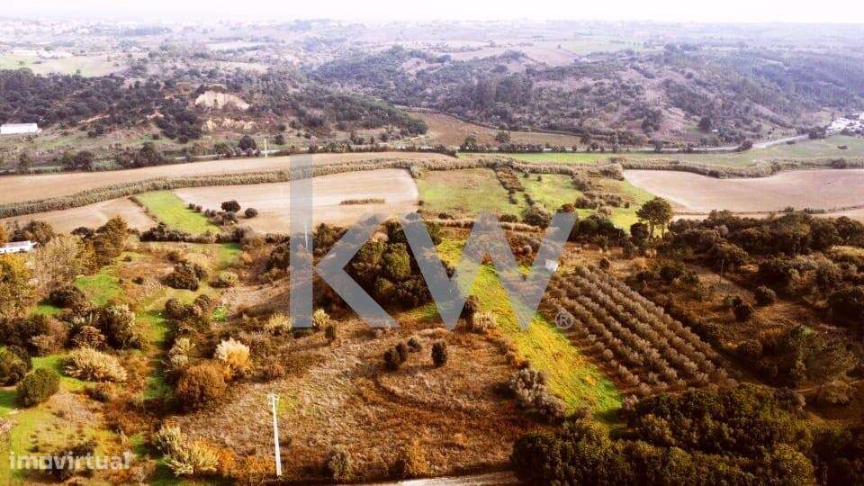 Terreno Rústico, plano, com vista desafogada em Vale do Paraíso, conce - Grande imagem: 5/16