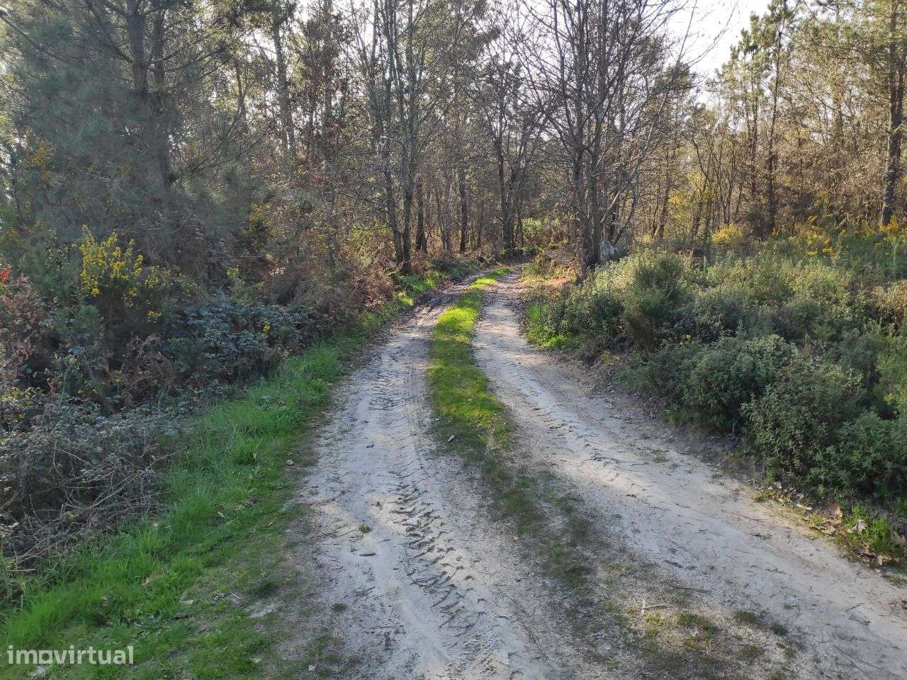 Terreno Rústico a 6 Kms do Centro - Grande imagem: 5/9