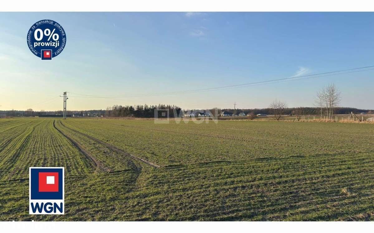 Działka rolna na sprzedaż Orzesze.-3