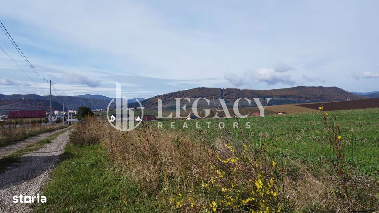 Teren intravilan 10.000 mp Gârcina lângă Sala Polivalenta Piatra Neamț-3