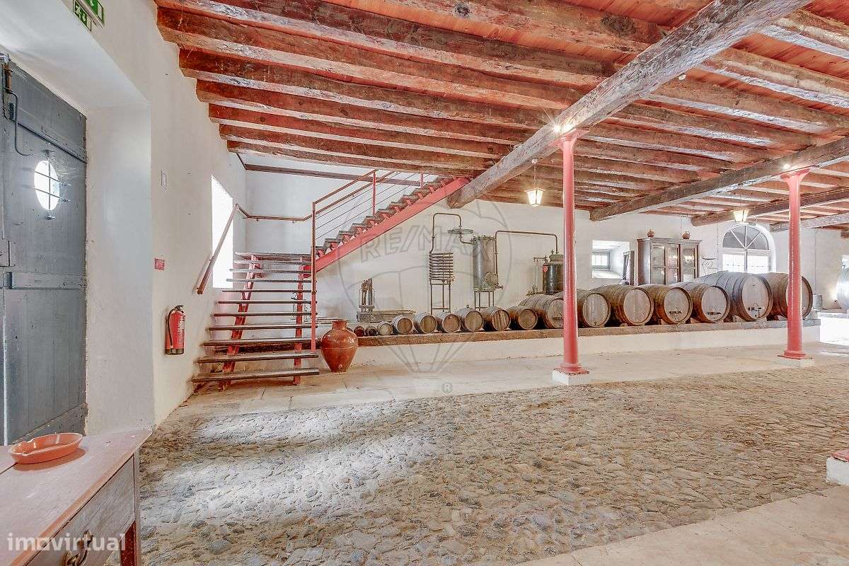 Quinta T21 para venda-24