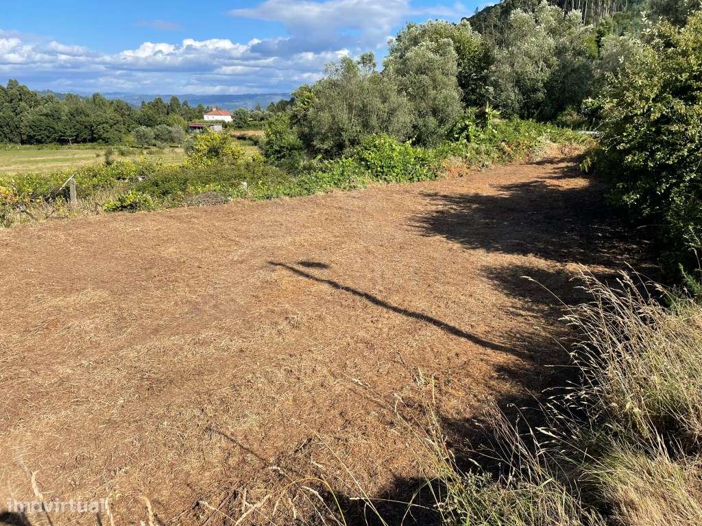 Terreno em Moreira do Lima. - Grande imagem: 3/4
