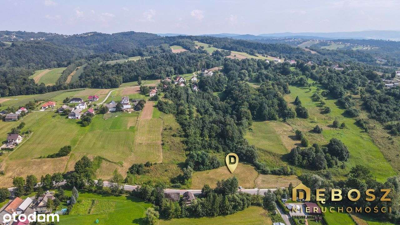 Królówka | Duża działka - 16 ar / 95.000 zł - Pełny obrazek: 4/10