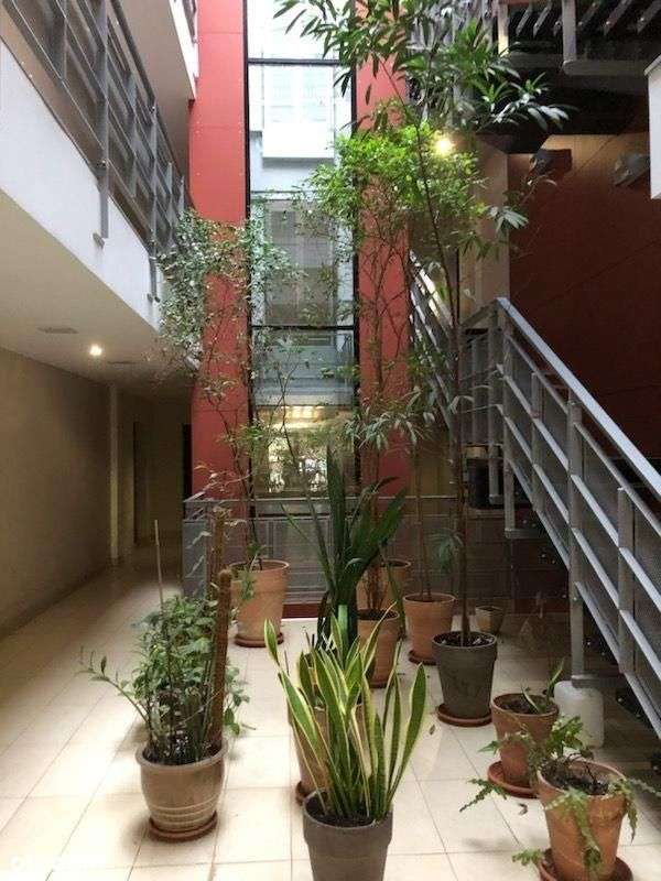 2 pok,garaż komórka 55m2 przy parku, Kryształowa40-0