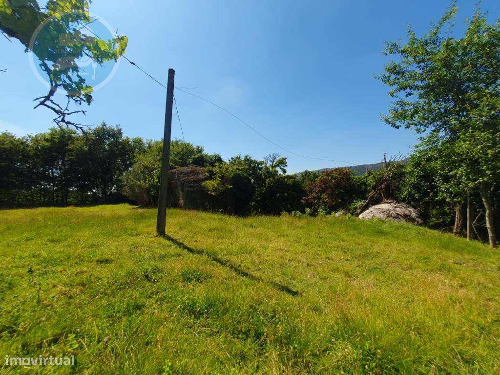 Quinta à venda para restauro em Arroteia freguesia de Rossas-51