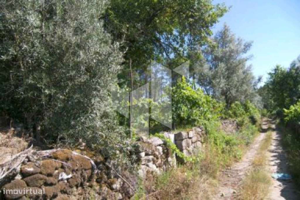 Quintinha, Campo de Besteiros, Tondela - Grande imagem: 5/13