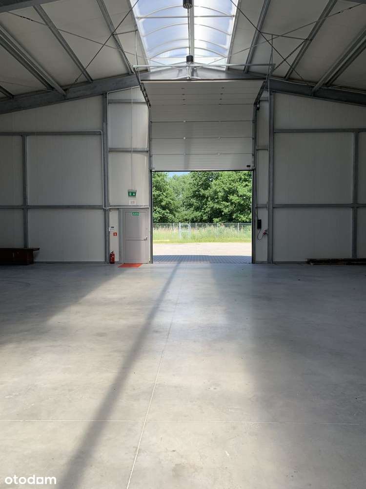 Hala Produkcyjno Magazynowa - Pełny obrazek: 5/14