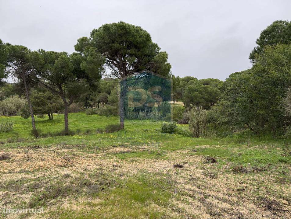 Terreno Rústico  Venda em Almancil,Loulé - Grande imagem: 2/11