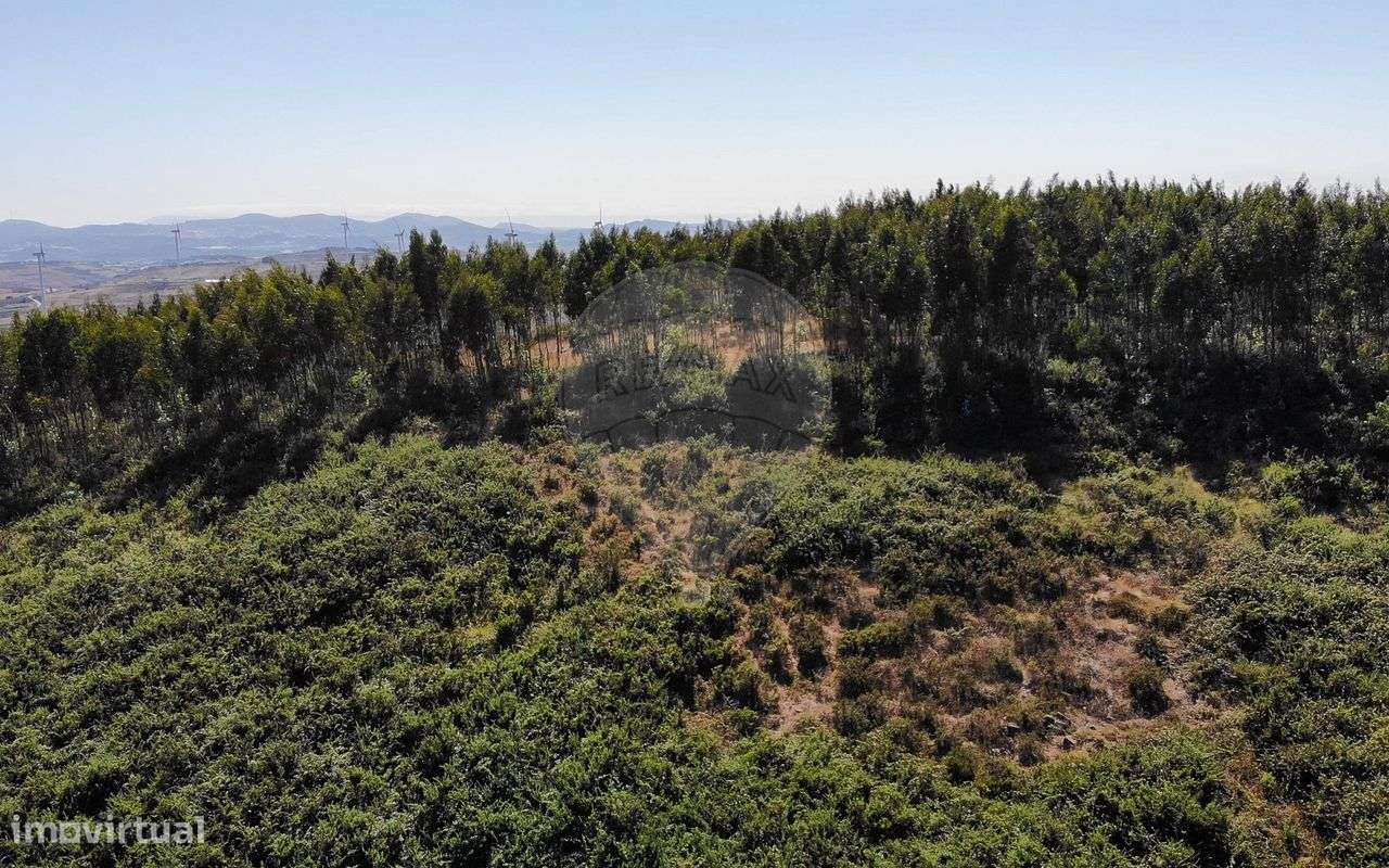 Terreno  para venda - Grande imagem: 4/20