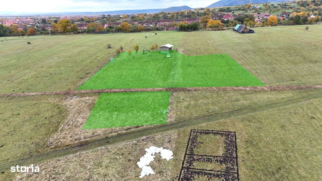 Teren  extravilan 2500 mp in Orlat - Imagine principală: 3/6