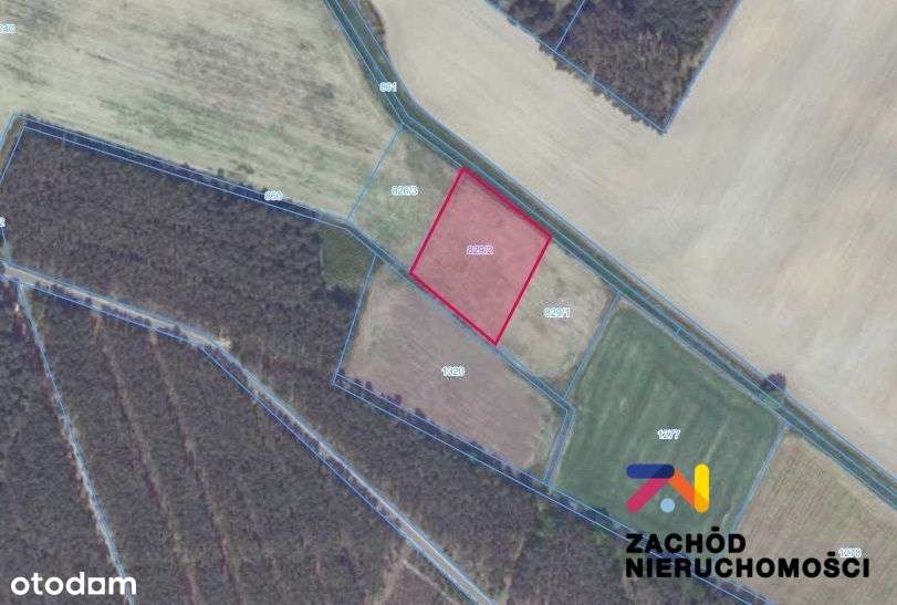 Działka rolna w Bogaczowie-0