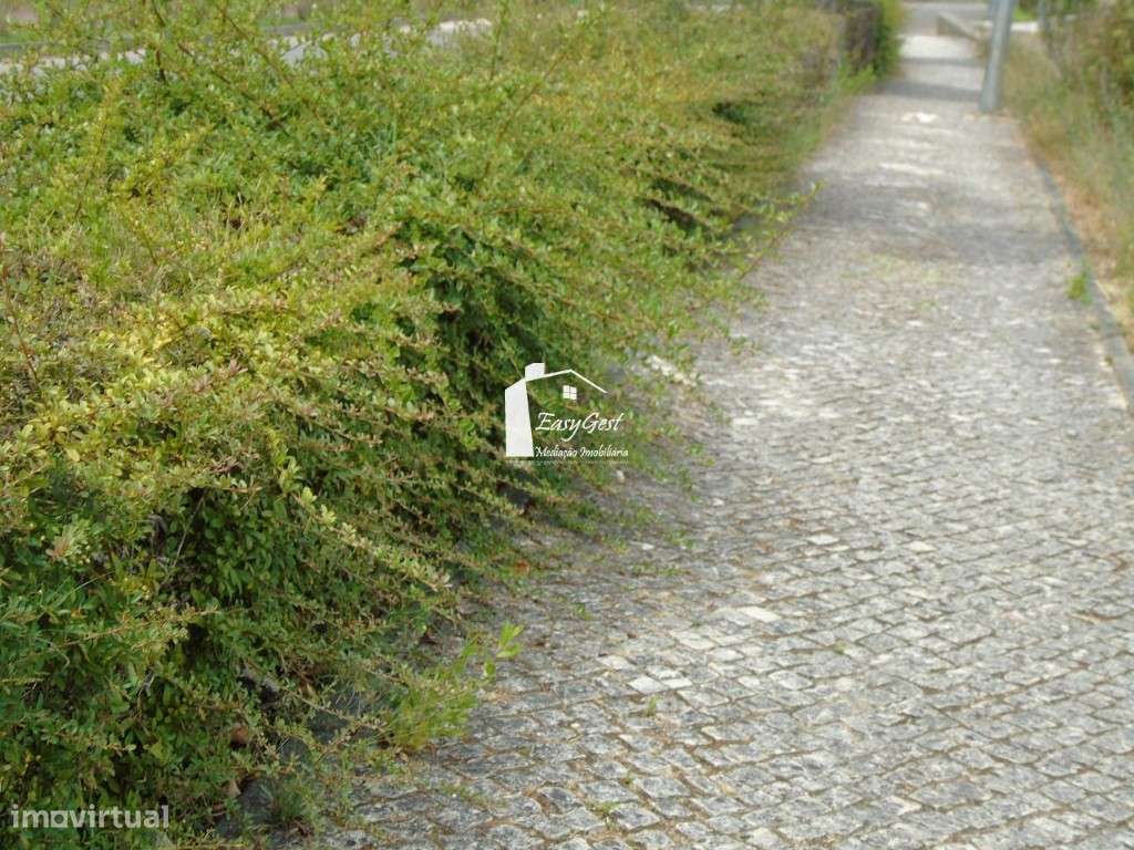 Lote de Moradia para construção em São Lourenço - Abrantes - Grande imagem: 5/7