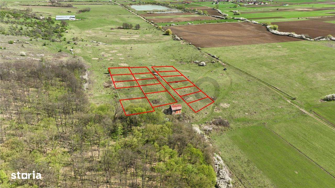 RECO , teren intravilan, Ineu,Bihor - Imagine principală: 4/4