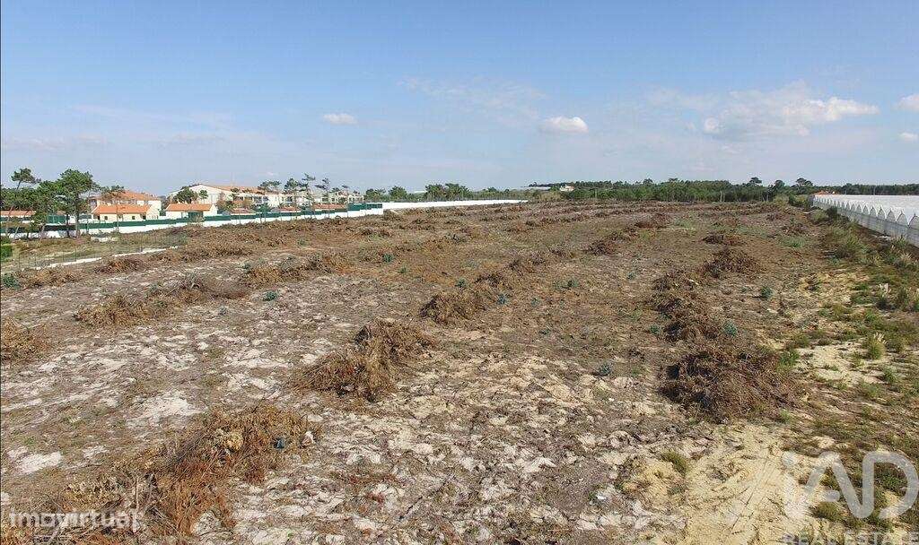 Terreno em A dos Cunhados e Maceira de 10000,00 m2 - Grande imagem: 5/15