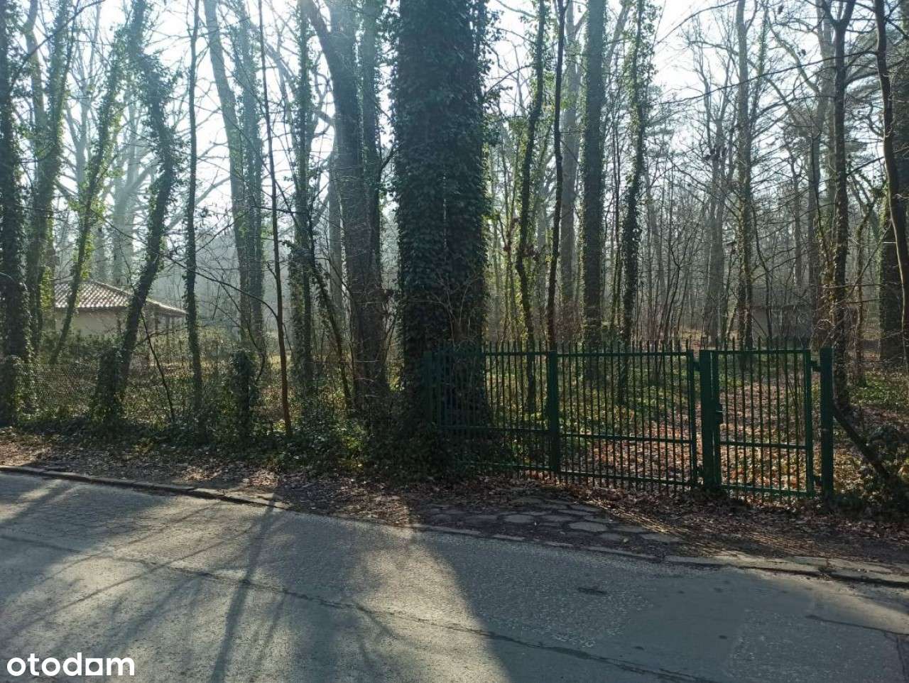 NOWA, OKAZYJNA CENA Działka 2594m2 w Podkowie Leśnej, blisko WKD - Pełny obrazek: 5/8