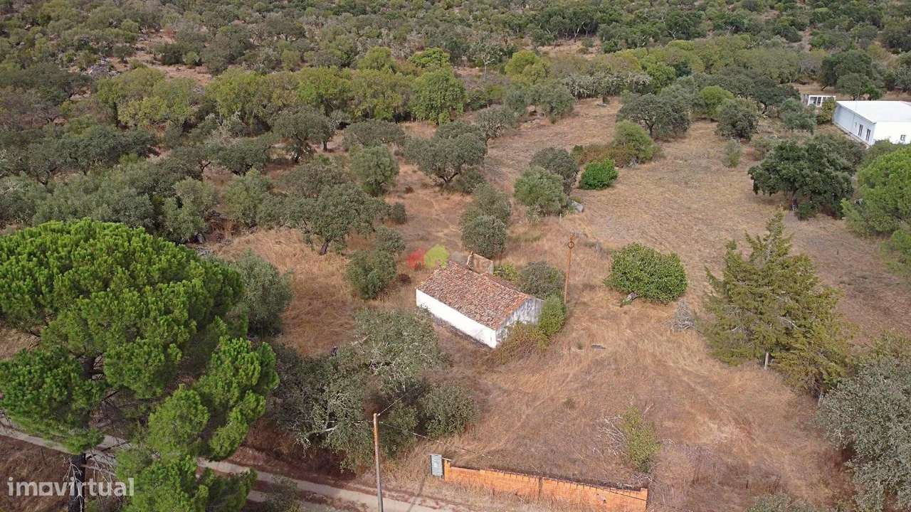 Venda Quinta/Herdade - Grande imagem: 4/30