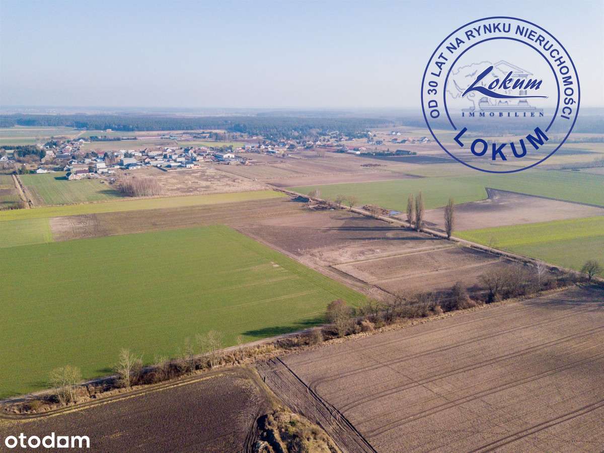 Duża działka w spokojnej okolicy - sprawdź - Pełny obrazek: 5/8