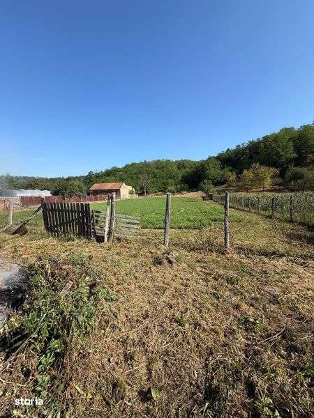 De vanzare Casa + Teren 3151m2 - Imagine principală: 5/7