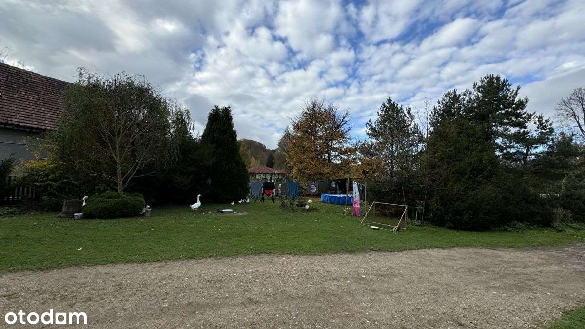 Gospodarstwo w gminie Jeżów Sudecki - Pełny obrazek: 5/20