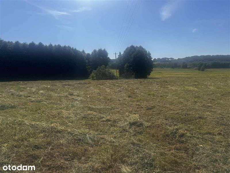 Działka Rezydencjonalna koło Bytowa - Pełny obrazek: 4/7