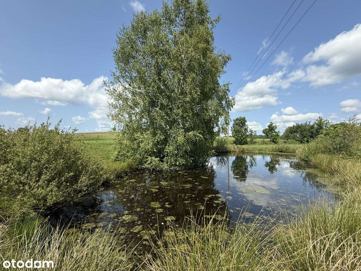 2 działki w świetnej cenie!! Blisko jeziora !-4
