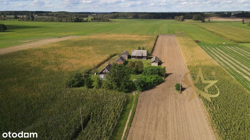 Siedlisko w Grądach, gm. Knyszyn - Pełny obrazek: 4/17